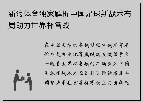 新浪体育独家解析中国足球新战术布局助力世界杯备战